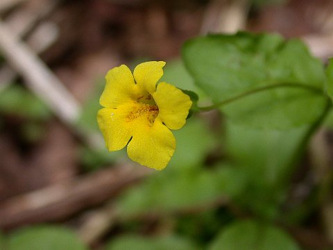 0622p010