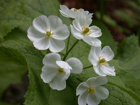 040527050.jpg