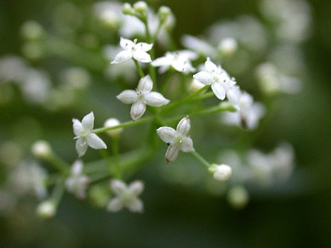 040704060.jpg