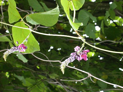 040715080.jpg