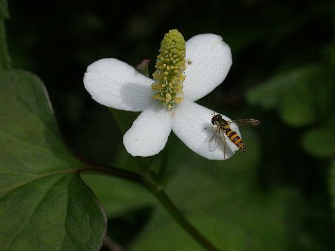040715110.jpg