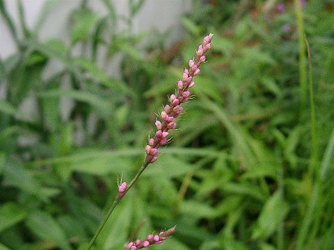 040826010.jpg