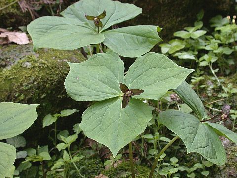 050417040.jpg