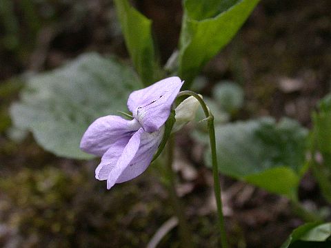 050417070.jpg