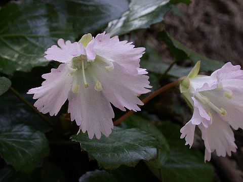 050503030.jpg