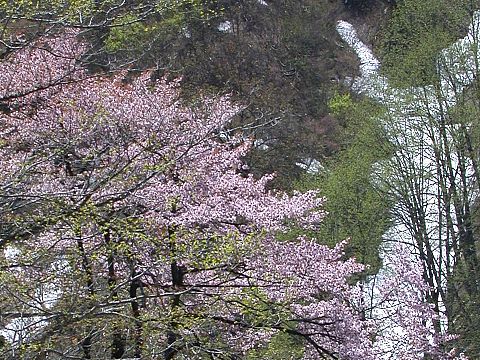 050503050.jpg
