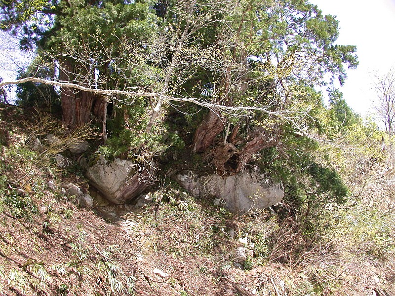 050503070.jpg