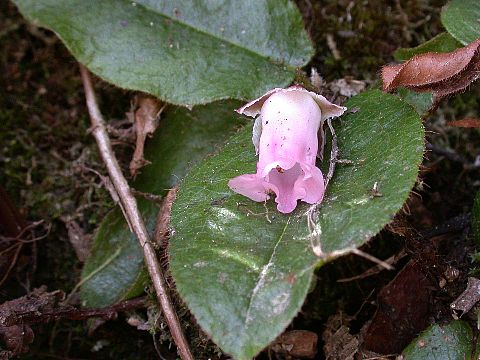 050503120.jpg
