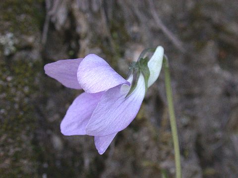 050503150.jpg