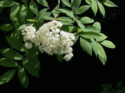 050519040.jpg