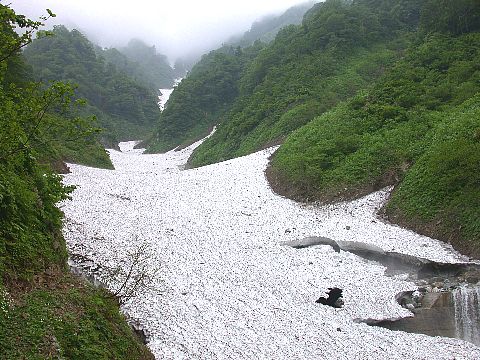 050619140.jpg