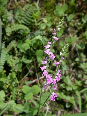 050717040.jpg