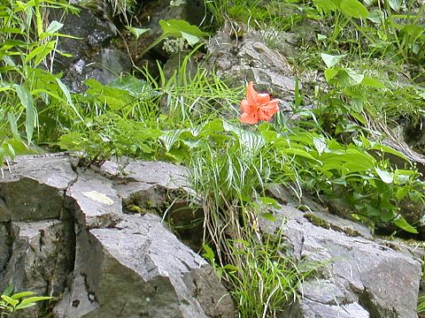 050717080.jpg