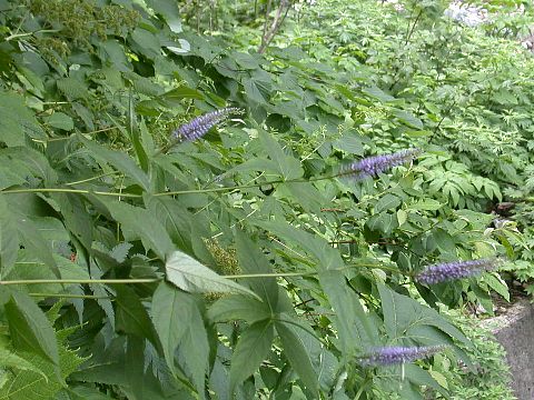 050717370.jpg
