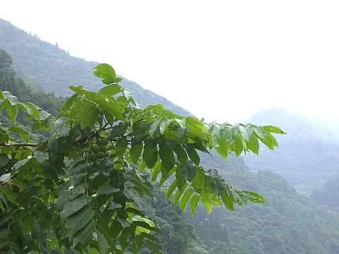 050807160.jpg