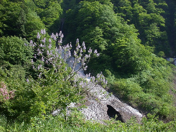 080601010.jpg