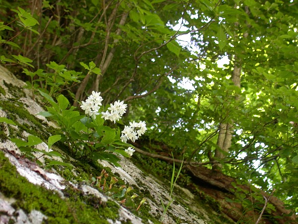 080601020.jpg