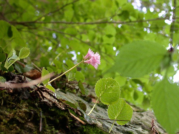 080601030.jpg