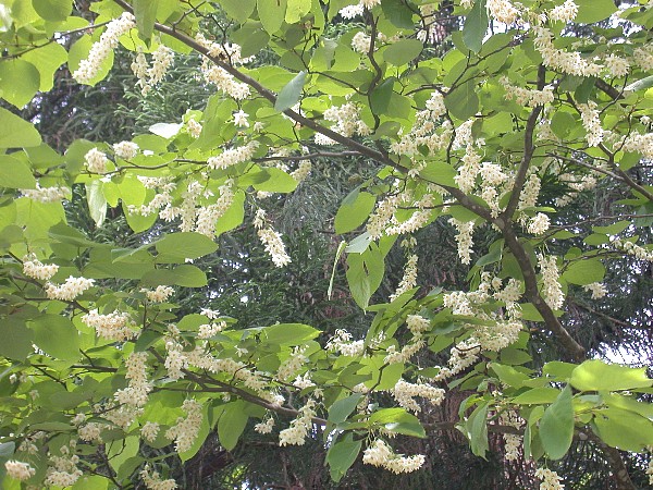 080615010.jpg