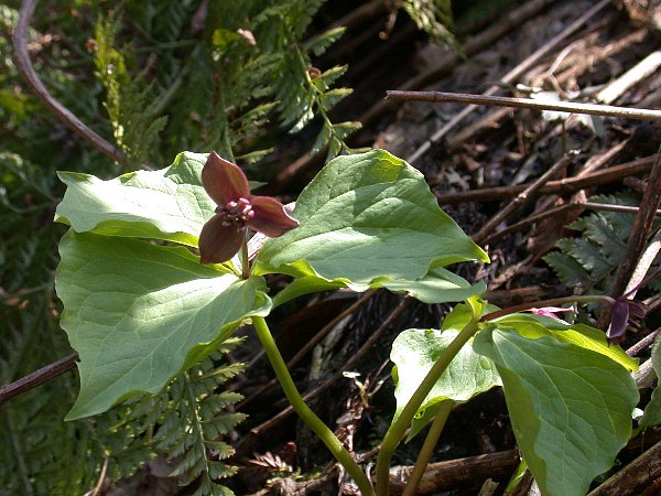 09040501.jpg
