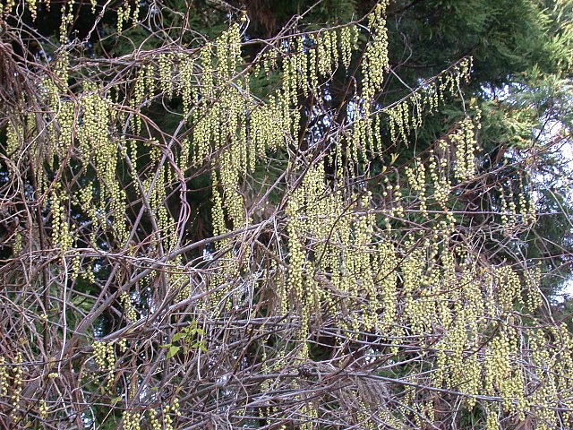 09040502.jpg