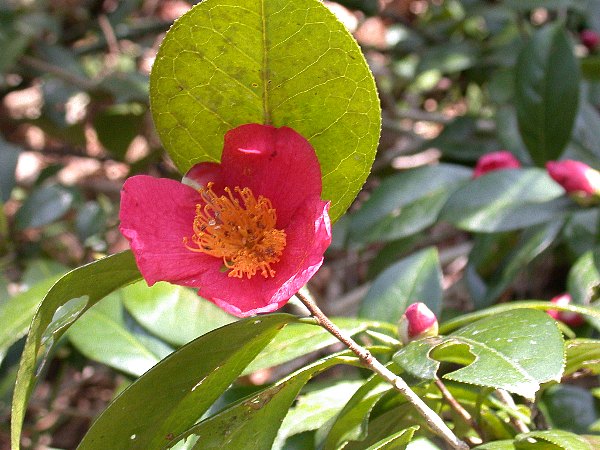 09040508.jpg