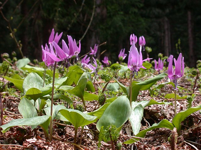 09050301.jpg