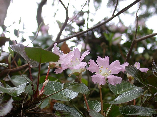 09050306.jpg