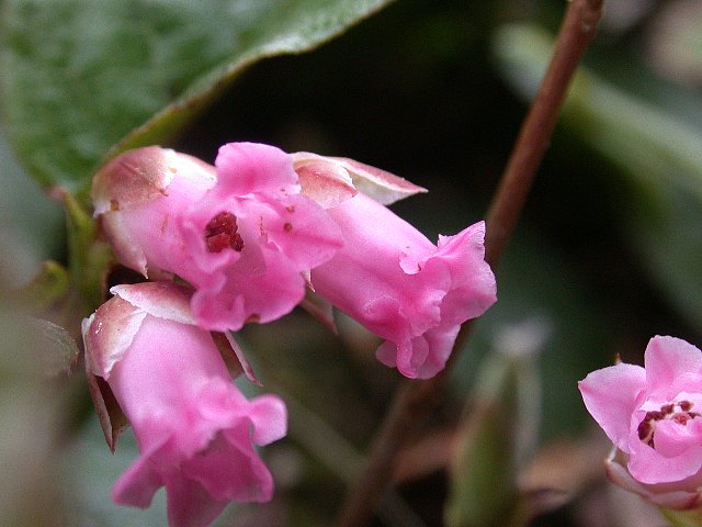 09050308.jpg