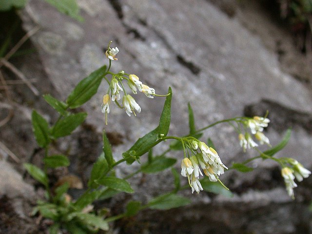 09050309.jpg