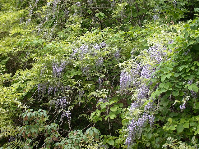 09050501.jpg