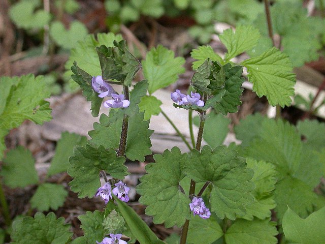 09050502.jpg