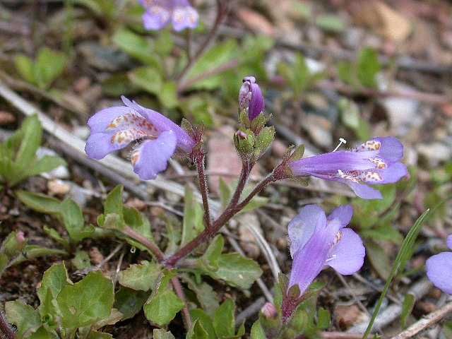 09050503.jpg