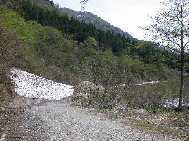 0509001.jpg