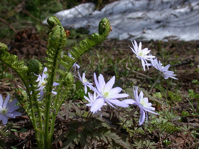 0504050.jpg