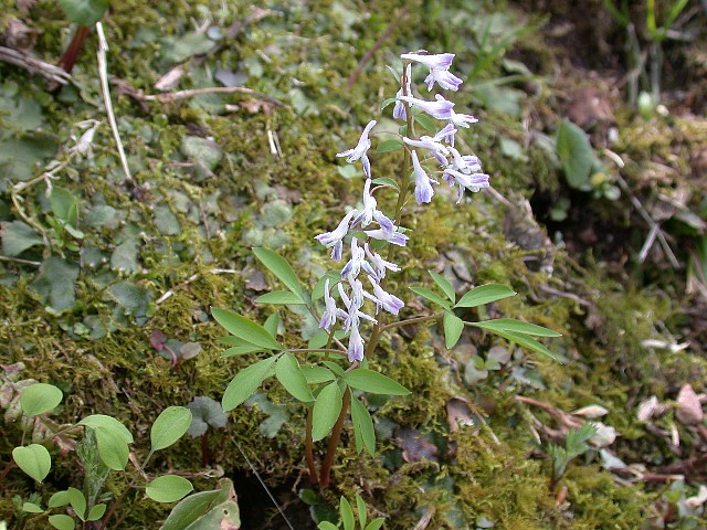 0504070.jpg