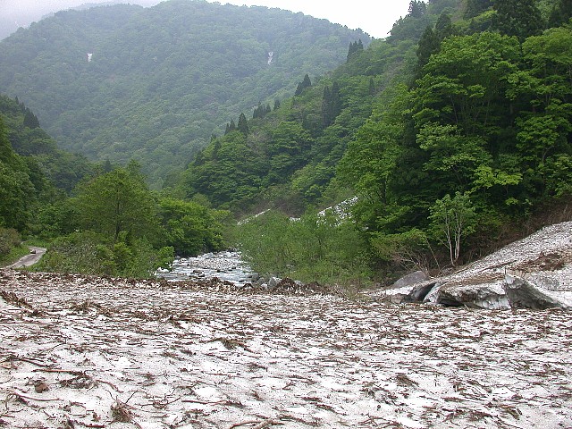 0605010.jpg