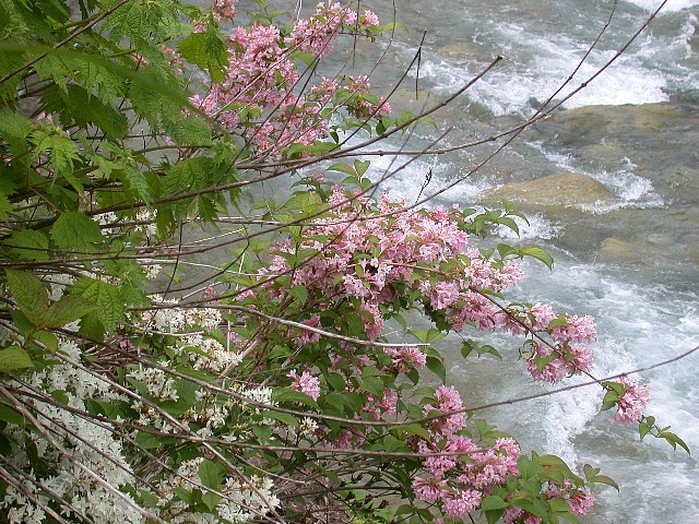 0605050.jpg