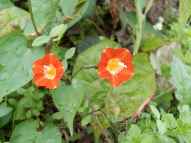 1103120.jpg