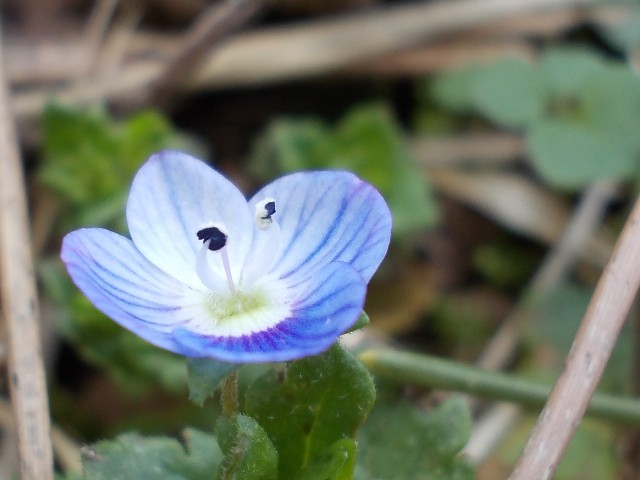 120415002.jpg