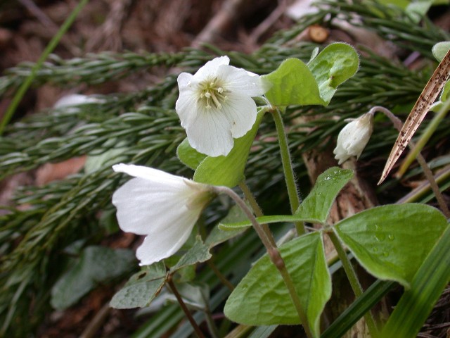 120422004.jpg