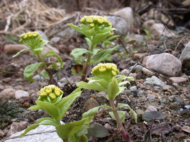 120422005.jpg
