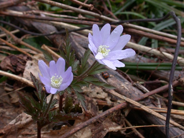 120422006.jpg