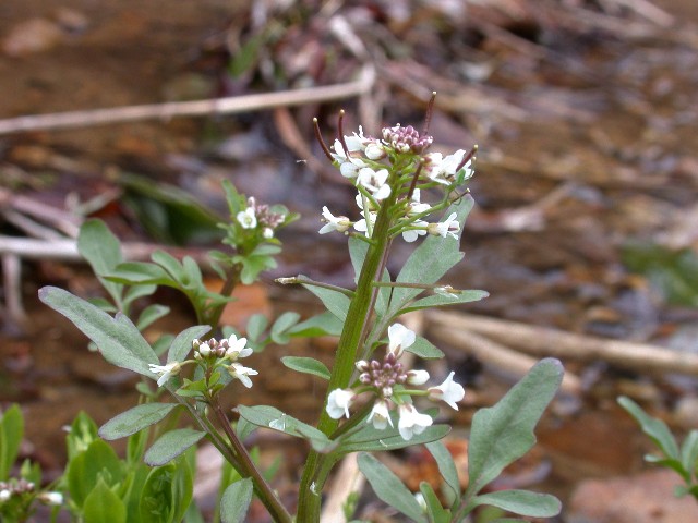 120422007.jpg