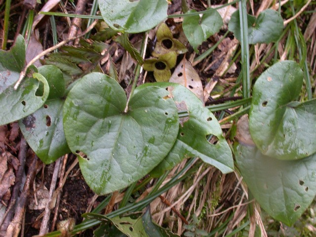 120422008.jpg