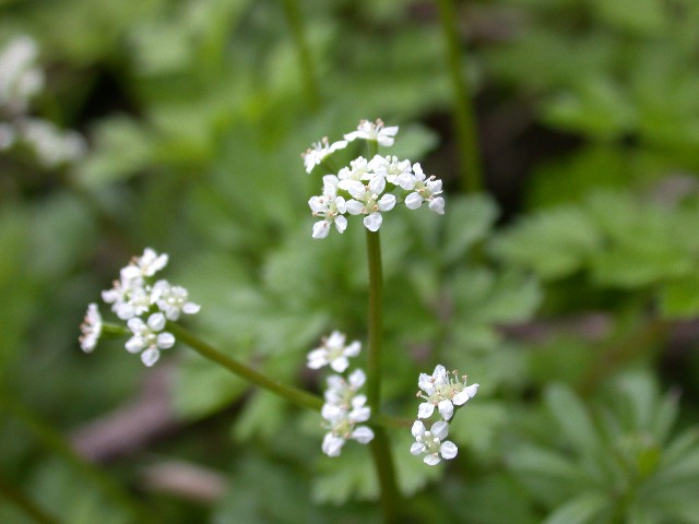 120426007.jpg