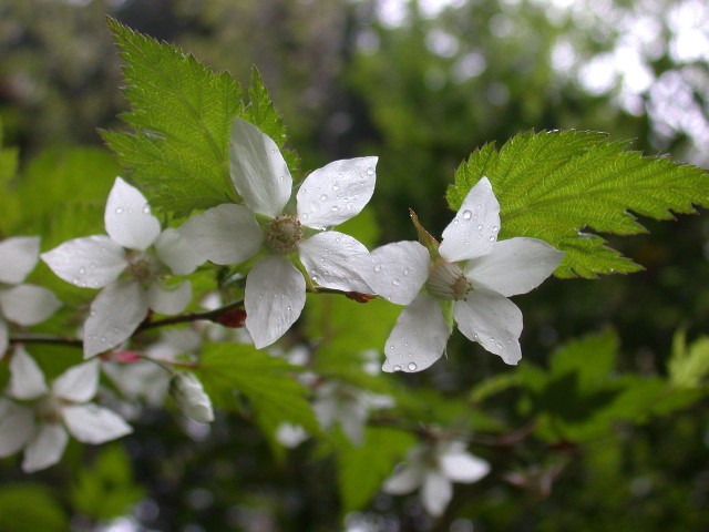 120426012.jpg