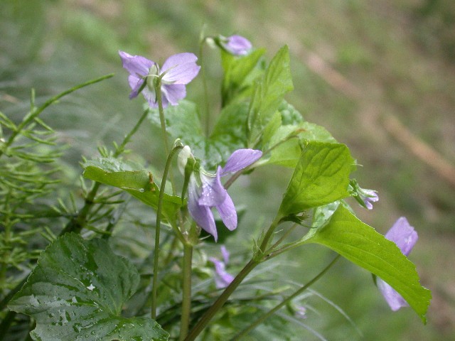 120426014.jpg