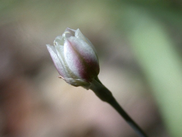 120429001.jpg