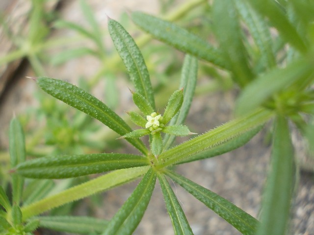 120430006.jpg